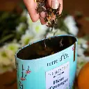 the-blanc-bio-saveur-fleur-d-oranger.webp