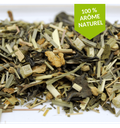[THE55] Gingembre Citron (Thé vert)