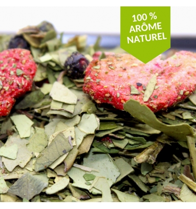 Maté Un automne dans la Pampa